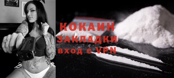 молекула духа Нягань
