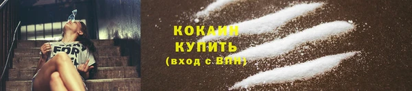 молекула духа Нягань