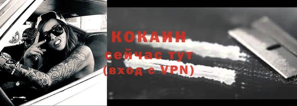 молекула духа Нягань
