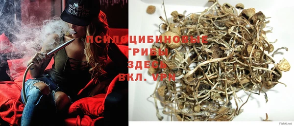молекула духа Нягань