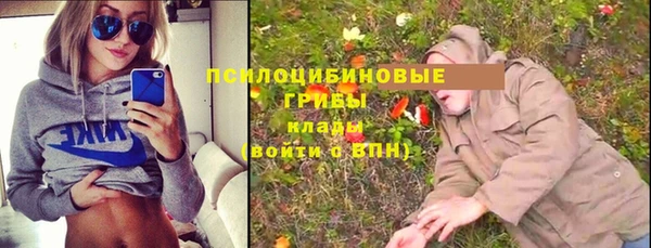 молекула духа Нягань