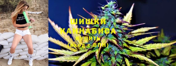 молекула духа Нягань